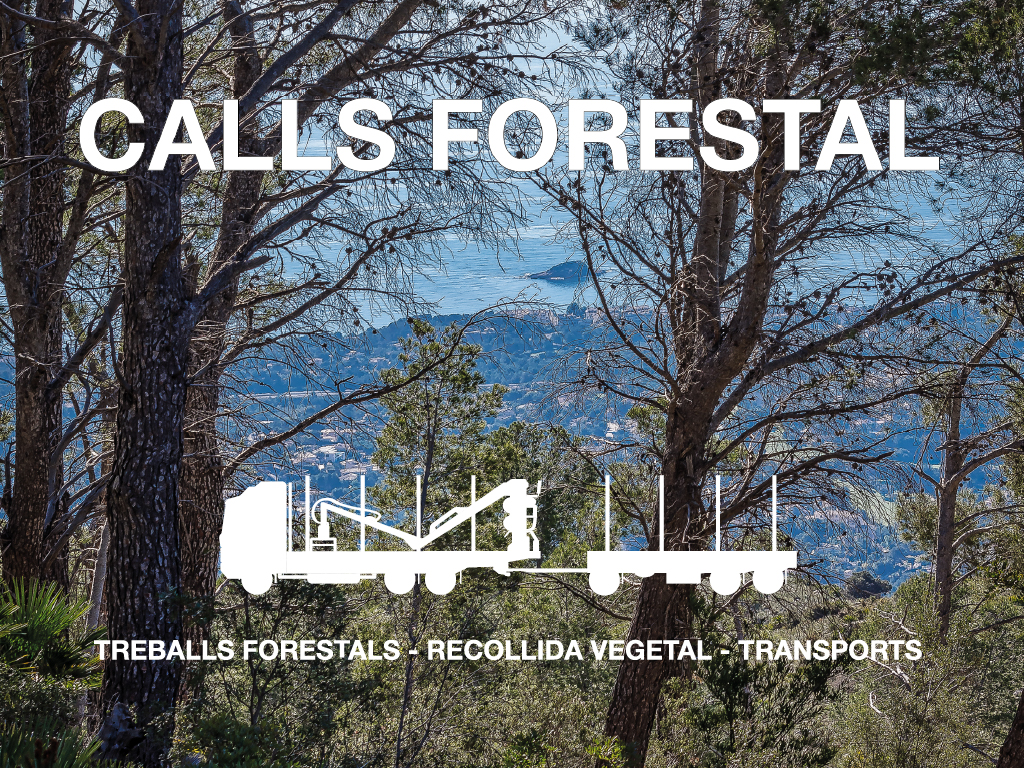 rediseno logotipo calls forestal identidad visual